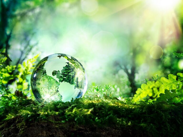 The Origins of the term Sustainable Development