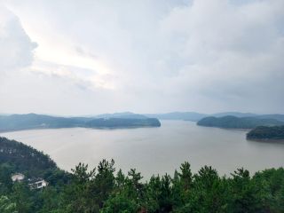 jinju202333.jpg