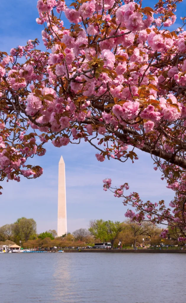 Washington DC Washinton Monument